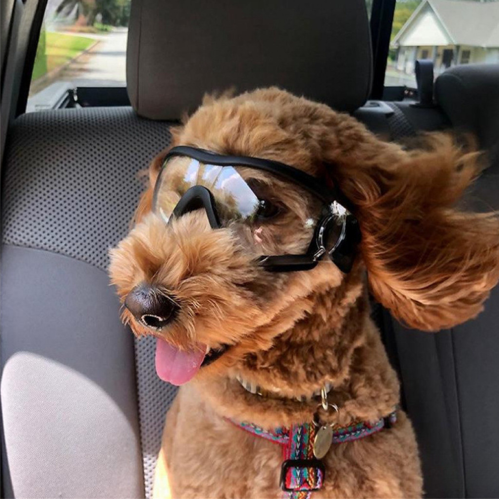 รูปภาพ 4