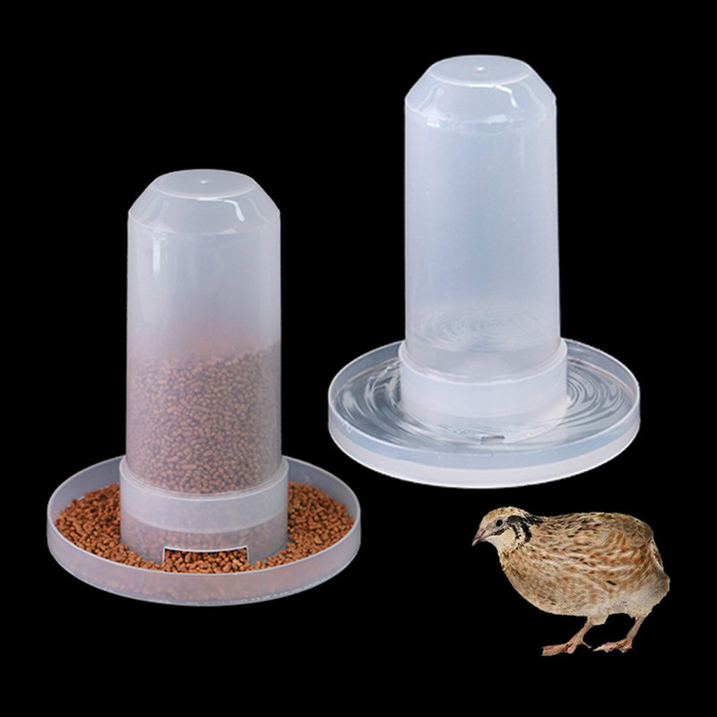 350ml เครื่องดื่มน้ำพลาสติก Parrot นกกระทา ถาดน้ำอัตโนมัติ ถังอาหารนก อุปกรณ์เสริม ราคา ถูกที่สุด ดีลบีเคเค
