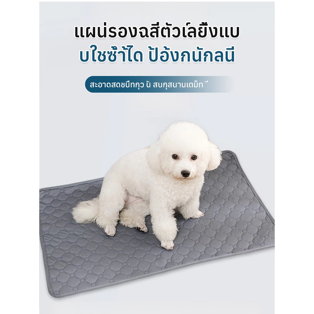 แผ่นรองฉี่สัตว์เลี้ยงซักได้ กันลื่น thumbnail 3