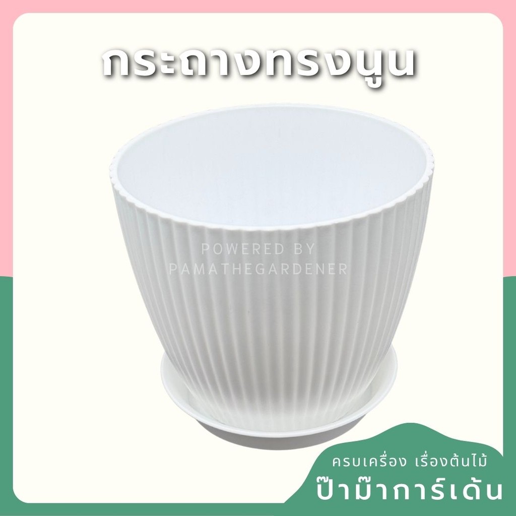กระถางพลาสติกสีขาว ทรงนูน 4-8 นิ้ว