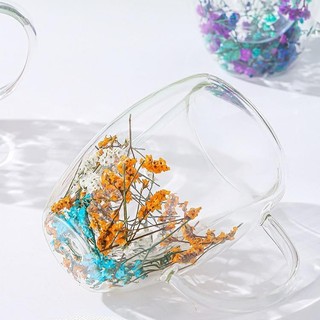 Preserved Flower Mug Double-layer Insulated Dried Flower Cup 300ML Glass Hot and Cold Coffee Tumbler