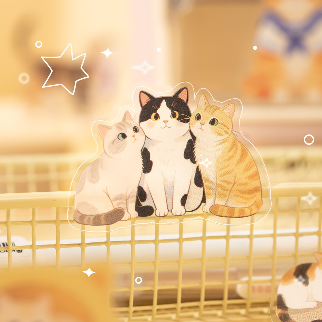 Back To SchoolMr. กระดาษ 30 ชิ้น PET Cat สติกเกอร์แพ็คกันน้ํารูปแบบน่ารักสติกเกอร์สําหรับบัญชีมือ DIY ตกแต่ง Collage ราคา ถูกที่สุด ดีลบีเคเค แกลเลอรีภาพที่ 5