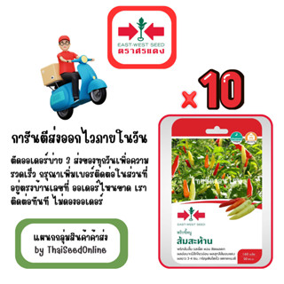 GG x 10 เมล็ดผักซองศรแดง ส้มสะท้าน พริกส้ม สินค้ายกแพ็ค