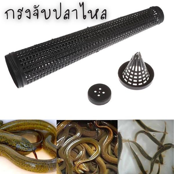 💤กรงจัปลาไหล พลาสติก ทนทาน สำหรับคนชอบตกปลา 2159
