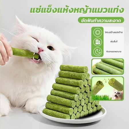 🔥พร้อมส่ง ใน 🇹🇭🔥หญ้าแมว แบบแท่ง ขนมแมว อาหารแมว เสริมวิตามิน ลดก้อนขน แท่งยาว