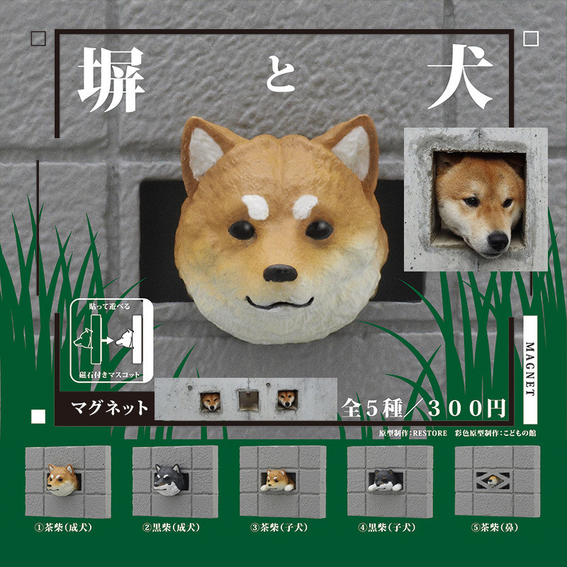 ญี่ปุ่นของแท้จํานวนมาก Kitan Kitan Discover Wall Shiba Inu สุนัขน่ารักตู้เย็นแม่เหล็ก