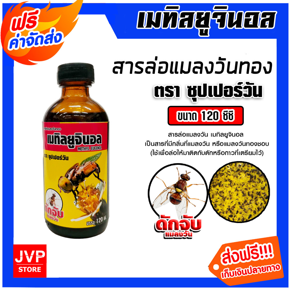 สารล่อแมลงวันทอง เมทิลยูจินอล 120cc. ยี่ห้อ ซุปเปอร์วัน สารล่อแมลงวัน ล่อแมลงวันทอง น้ำหอมล่อแมลงวันทอง