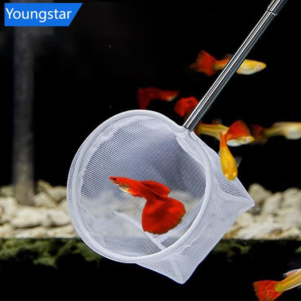 FYY 3D Aquarium Fish Net ขยายจับตาข่ายนุ่มปลอดภัยสําหรับจับกุ้งปลา Aquarium อุปกรณ์เสริม