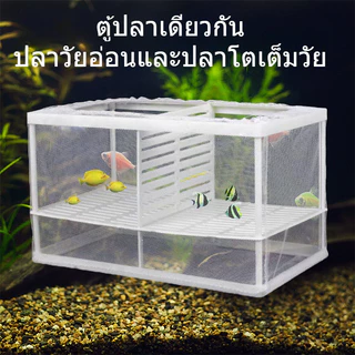 COD ตู้ฟักไข่ปลา ตาข่าย กล่องฟักไข่ ตู้ฟักไข่ปลา แบบตาข่าย กล่องแยกปลา แยกปลาลูกปลาขนาน เพาะพันธุ์ปลา+ฟักไข่