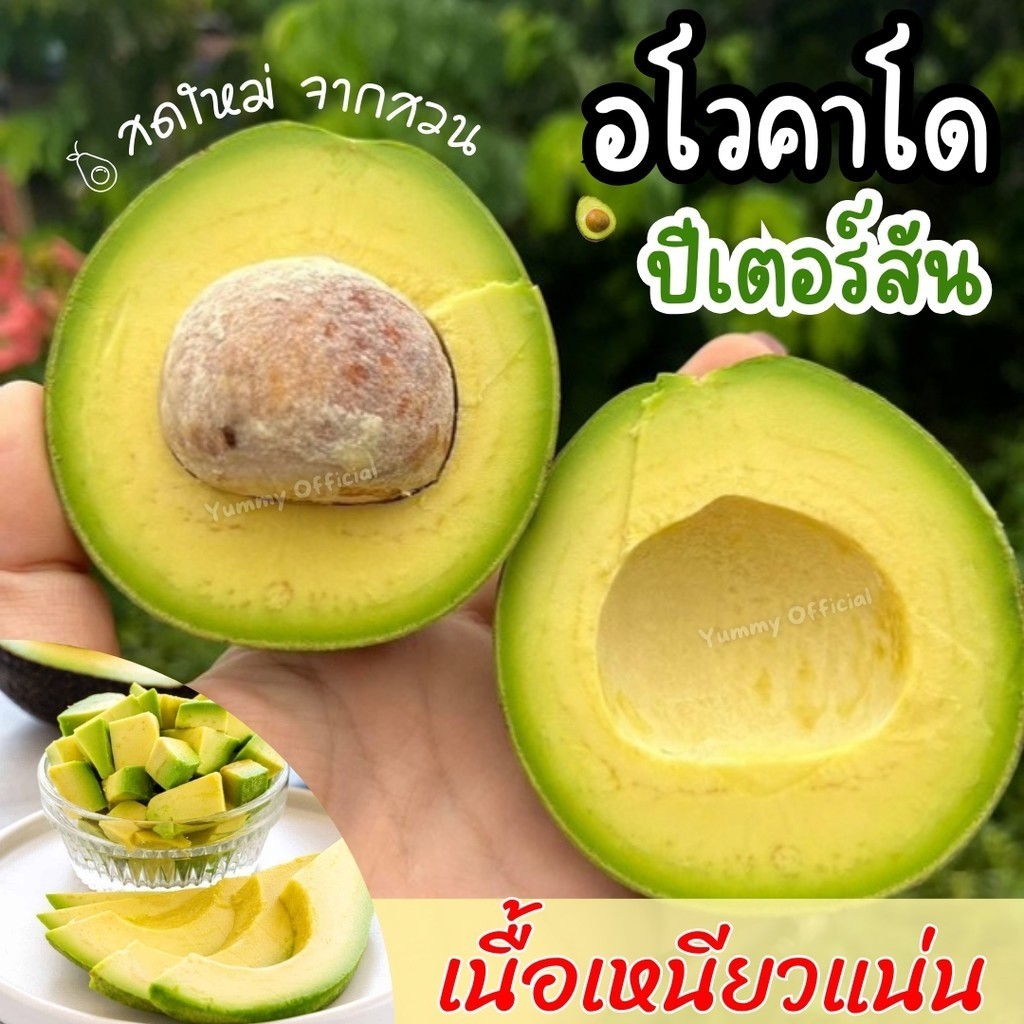 hot พร้อมส่ง (1KG) Avocado อโวคาโด =1กิโลกรัม= พันธปีเตอร์สัน อโวคาโด้ อโวคาโด อะโวคาโดสด อโวคาโดสด อโวคาโด้ อะโวคาโด้
