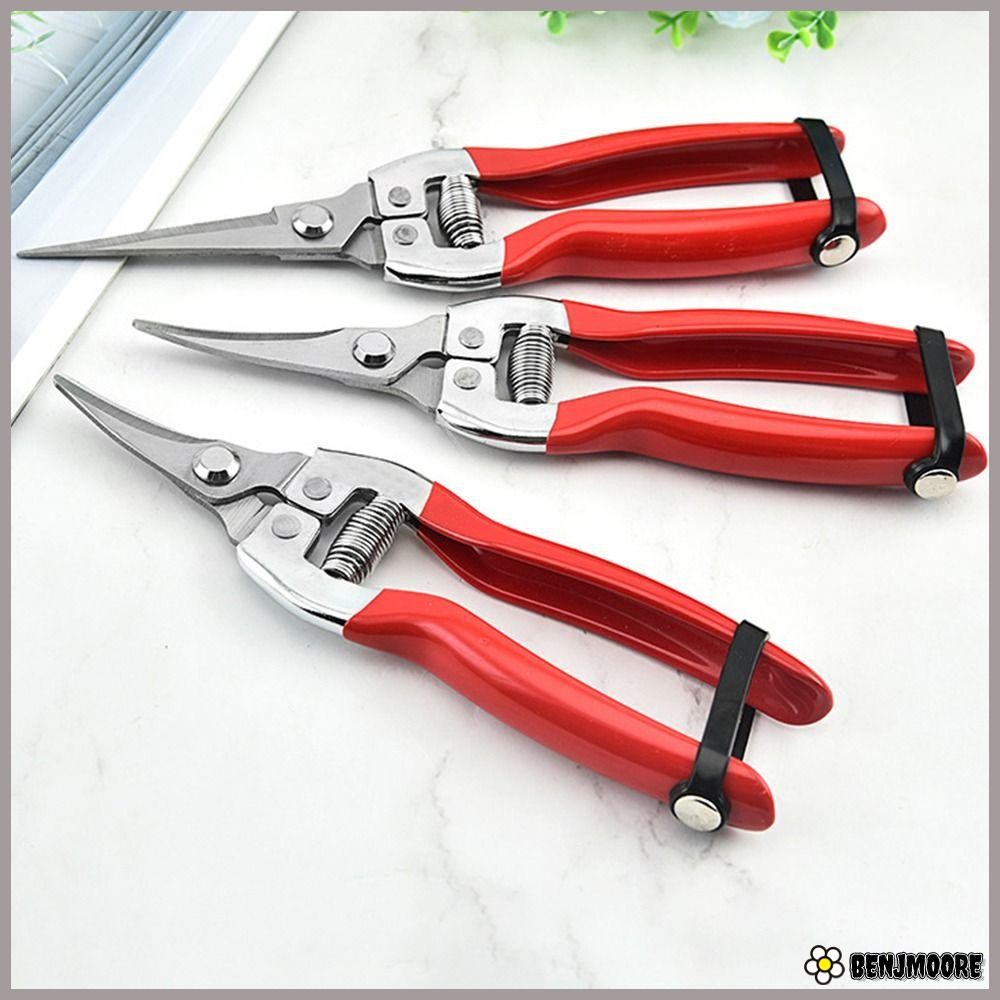 BENJMOORE 1 ชิ้นสวนกรรไกร,สวน Leaf Trimmer ต้นไม้ตัดแต่งกิ่งเฉือน,มือ Pruner Florist กรรไกรเครื่องมือตรง Micro-Tip ตัดแต่งกิ่ง Snips