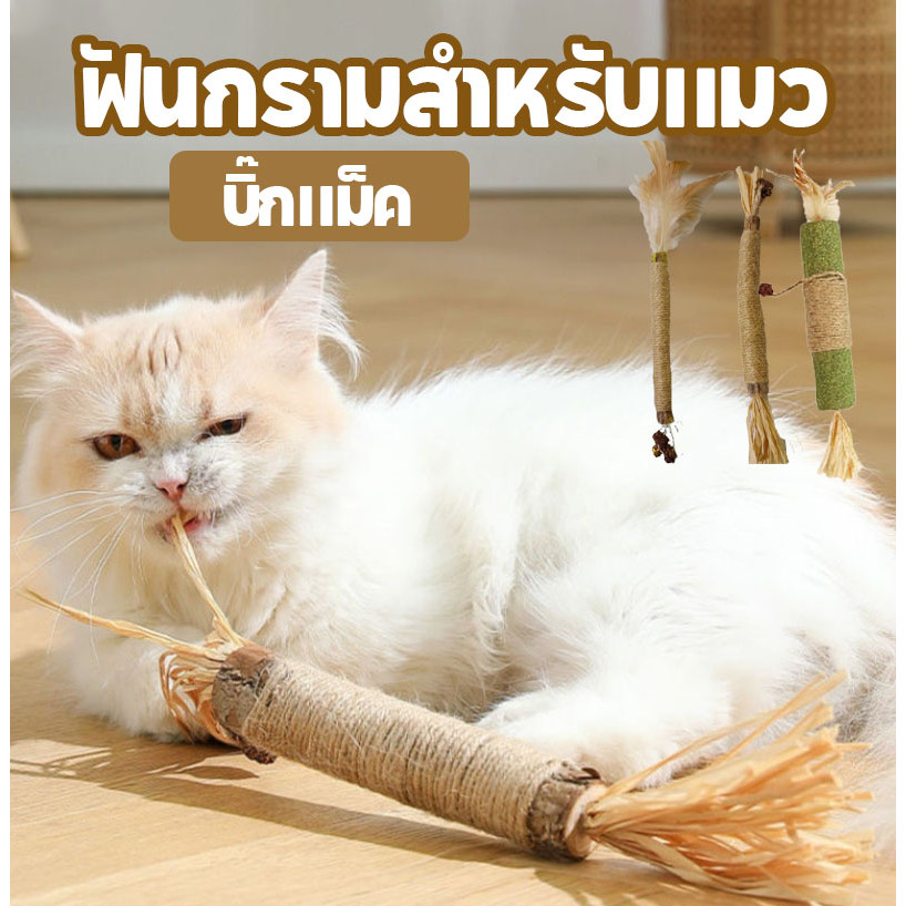 ไม้แมวเมา อันใหญ่ ไม้ขัดฟันแมว มาทาบิ อันใหญ่มาก ไม้มาทาทาบิ 38cm ของเล่นแมว ลดคราบหินปูน กัญชาแมว