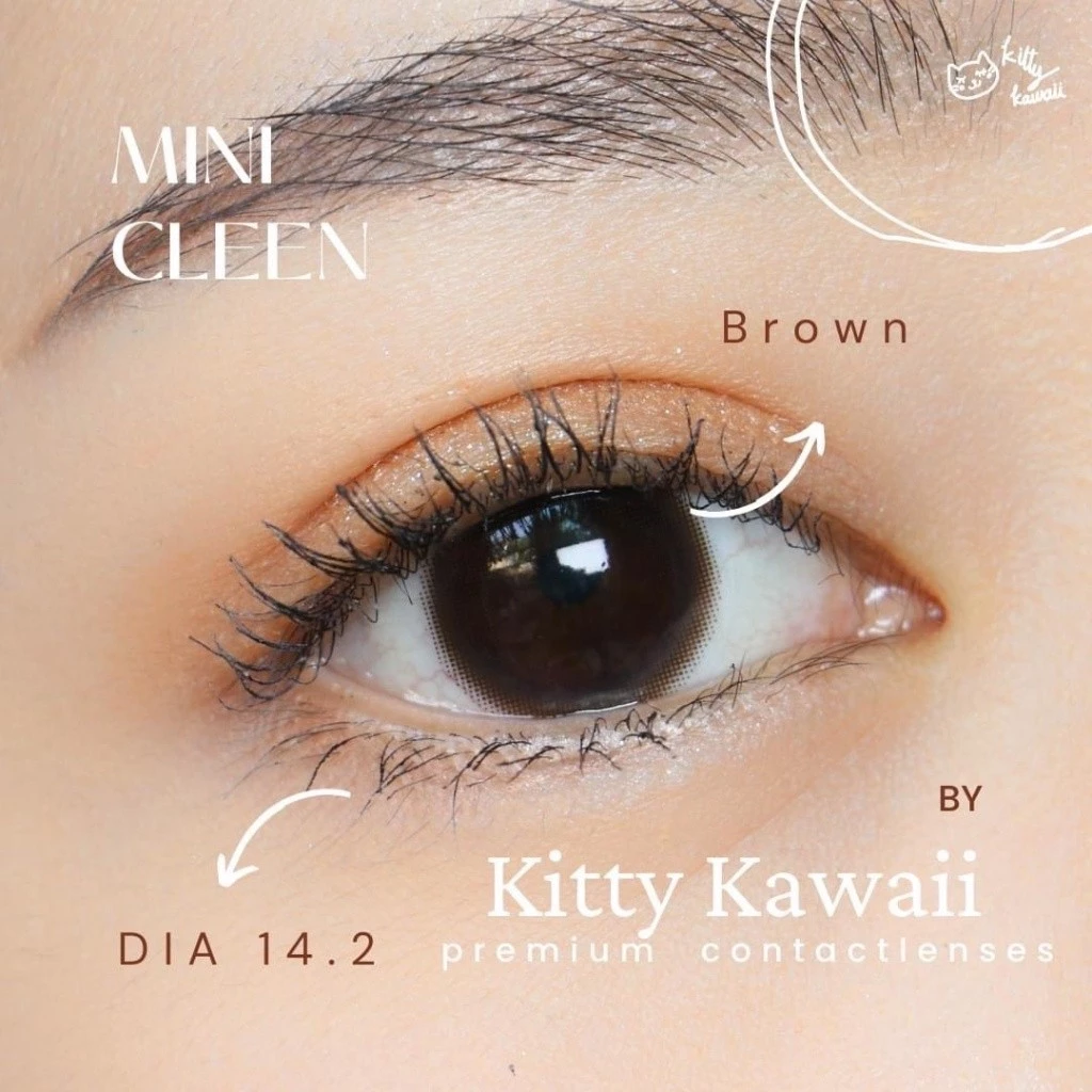คอนแทคเลนส์(มินิ)🔥Mini Cleen🔥(Kitty Kawaii) สี : Brown รายเดือน มีค่าสายตา