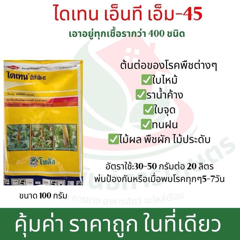 ไดเทน เอ็นที เอ็ม-45 ขนาด100กรัม คุมโรคพืช ป้องกันราน้ำค้าง ใบจุด ใบไหม้ ทนทานฝน