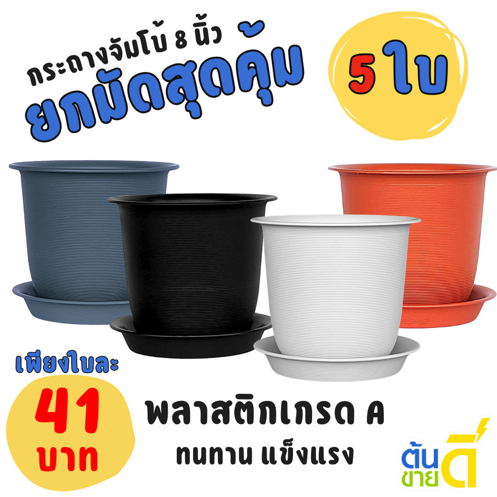 กระถาง กระถางต้นไม้ มินิมอล จัมโบ้+จาน ขนาด 8 นิ้ว สีดำ สีขาว สีเทา สีอิฐ สีโอ๊ค Bundle 5 ใบ ชิ้น อัน