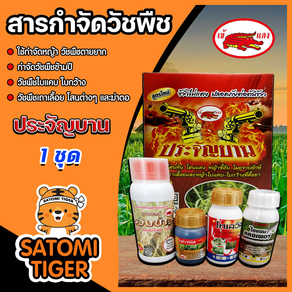 ชุดประจัญบานเข้แดง สูตรใหม่ ชุดกำจัดหญ้าในนาข้าวเห็นผลดี สารกำจัดวัชพืช  กำจัดหญ้าข้าวนกสีชมพู หญ้าแดง ผักปอดนา กกต่างๆ