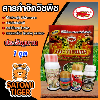ชุดประจัญบานเข้แดง สูตรใหม่ ชุดกำจัดหญ้าในนาข้าวเห็นผลดี สารกำจัดวัชพืช กำจัดหญ้าข้าวนกสีชมพู หญ้าแดง ผักปอดนา กกต่างๆ