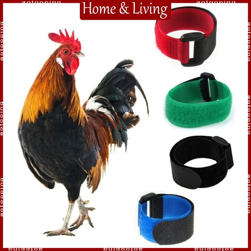 Aoto ทนทาน Rooster Noisy Anti-Hook สายคล้องคอ 2PCS Rooster คออุปกรณ์ปลอกคอไนลอน Collar Rooster อุปกร