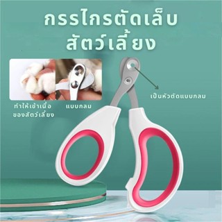 ✂️ที่ตัดเล็บแมว กรรไกรตัดเล็บสแตนเลสสุนัขและแมว กรรไกรตัดเล็…