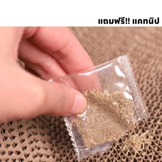 ที่ลับเล็บขอบหนาพิเศษ รุ่นหนากว่าปกติ รีกลม ที่ลับเล็บแมว Cat scratcher คุณภาพดี