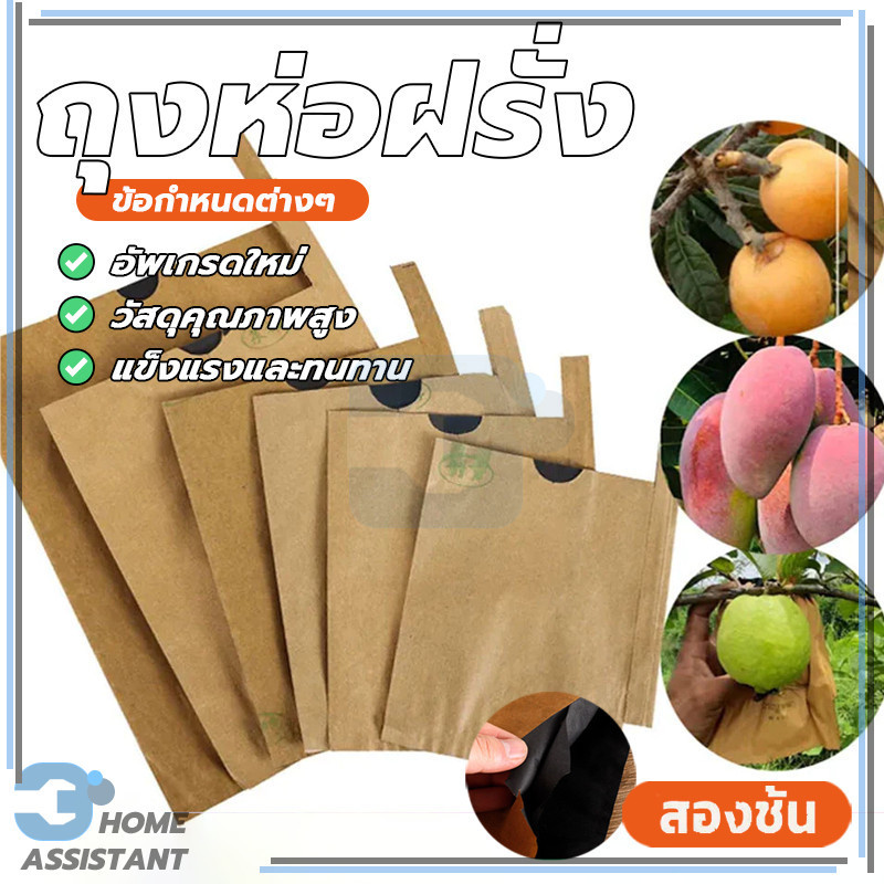 ถุงห่อมะม่วง ถุงห่อผลไม้ ถุงกระดาษฝรั่ง หลีกเลี่ยงการเสียดสีระหว่างกิ่งและใบ ป้องกันลูกเห็บ แยกโรคและแมลง
