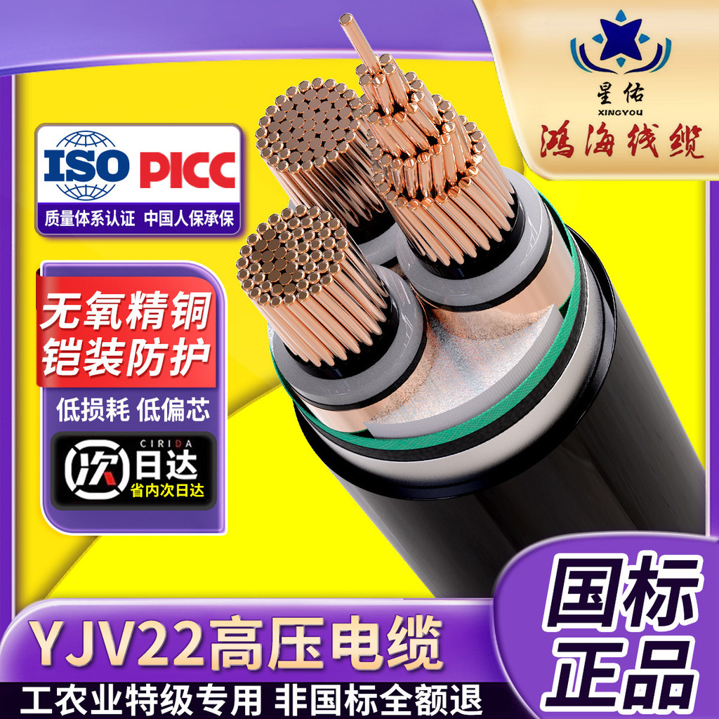 ชุดมาตรฐานแห่งชาติ YJV22 1 Core 3 Core Copper Core สายแรงดันสูง 8.7/15kv Rack Hollow Underground Out