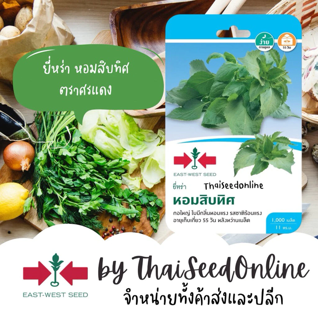Sorndang(ศรแดง) GGEW 10/70 เมล็ดพันธุ์ ยี่หร่า หอมสิบทิศ ประมาณ 1,000 เมล็ด ตราศรแดง กะเพราควาย