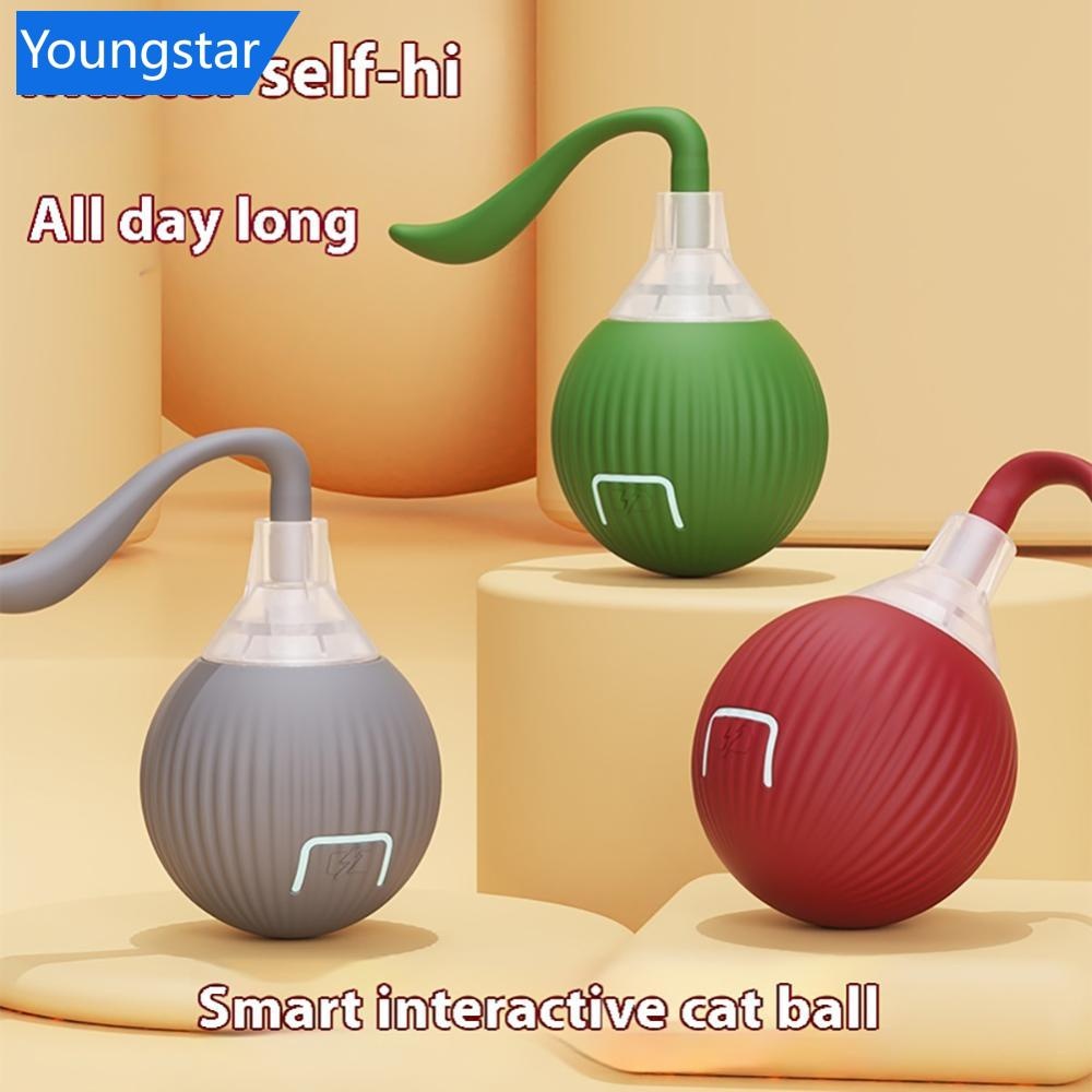 Ys Cat Interactive Ball ของเล่นอัตโนมัติ Rolling Ball Faux Tail ชาร์จสมาร์ทสัตว์เลี้ยงไฟฟ้าของเล่นสุนัข Cat การฝึกอบรมเลียนแบบเมาส์ D8N4