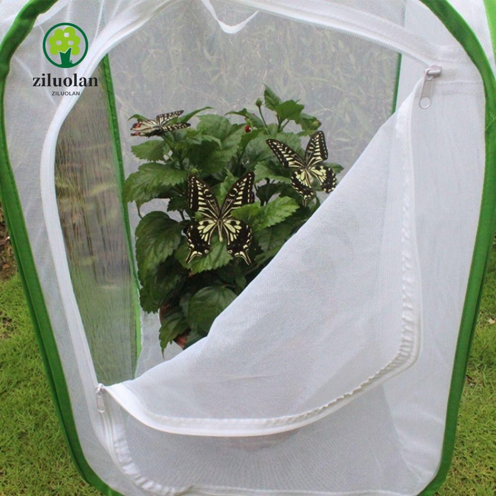 Ziluolan ผีเสื้อ Habitat, กรงแมลงกลางแจ้งโปร่งใส, ผ้าคุณภาพสูงกรงตาข่ายที่ใช้งานได้จริง Sunroom