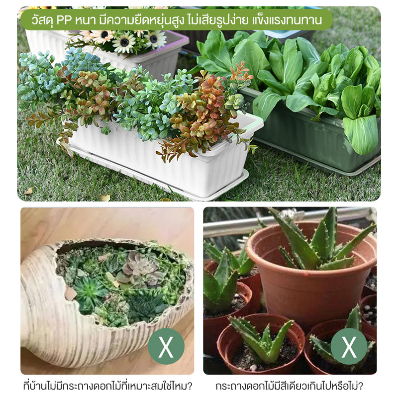 กระถางต้นไม้ กระถางทรงสี่เหลี่ยม กระถางปลูกต้นไม้ ราคาถูก แข็งแรง - รูปที่ 7