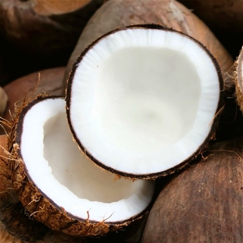 ลูกมะพร้าวแก่คั้นกะทิ 1 ลูก (คละขนาด) มะพร้าวแกง มะพร้าวลูกสำหรับทำขนม coconut milk
