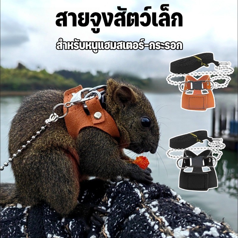 เชือกจูงสัตว์เลี้ยง สายจูงสัตว์เล็ก สำหรับหนูแฮมสเตอร์-กระรอก  ระบบล็อก3ชั้น+วัสดุกันลม ป้องกันหลุดหาย