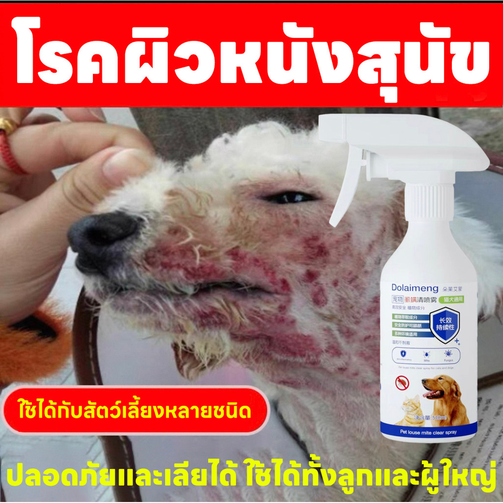 🐶รักษาโรคผิวหนังสำหรับแมวและสุนัขโดยเฉพาะ🐱Hb ขี้เรื้อน สเปรย์ขี้เรื้อนสัตว์เลี้ยง แก้คันสุนัข เรื้อน 510ml สูตรจากพืช ปลอดภัยและไม่มีสารพิษ