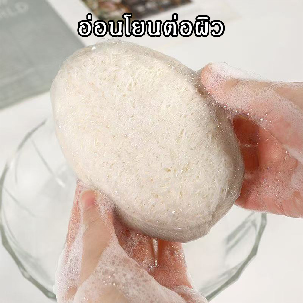 ใยบวบ ใยบวบขัดตัว ใยบวบขัดหลัง ใยบวบขัดผิว ใยขัดตัว ใยขัดตัวอาบน้ำ ใยขัด ใยขัดหลัง - รูปที่ 4