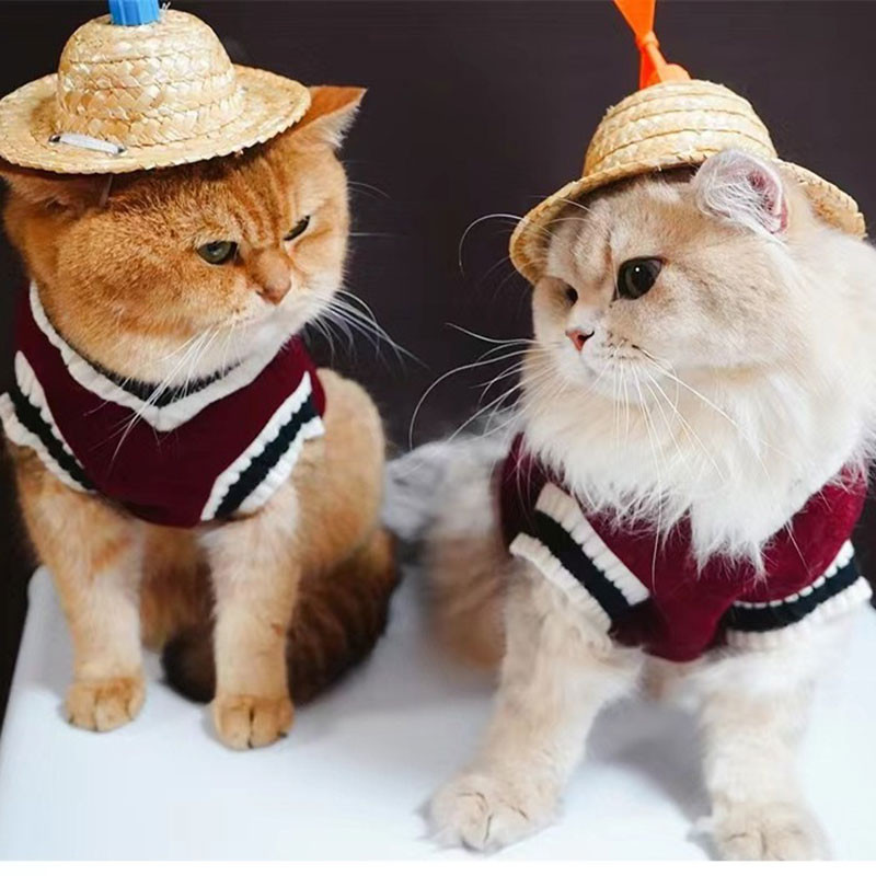 💥พร้อมส่ง🐾เสื้อสัตว์เลี้ยง ใส่สบาย ระบายอากาศดี น่ารัก ให้อบอุ่น เหมาะสําหรับแมวและสุนัข เสื้อหมา XS-4XL - รูปที่ 4