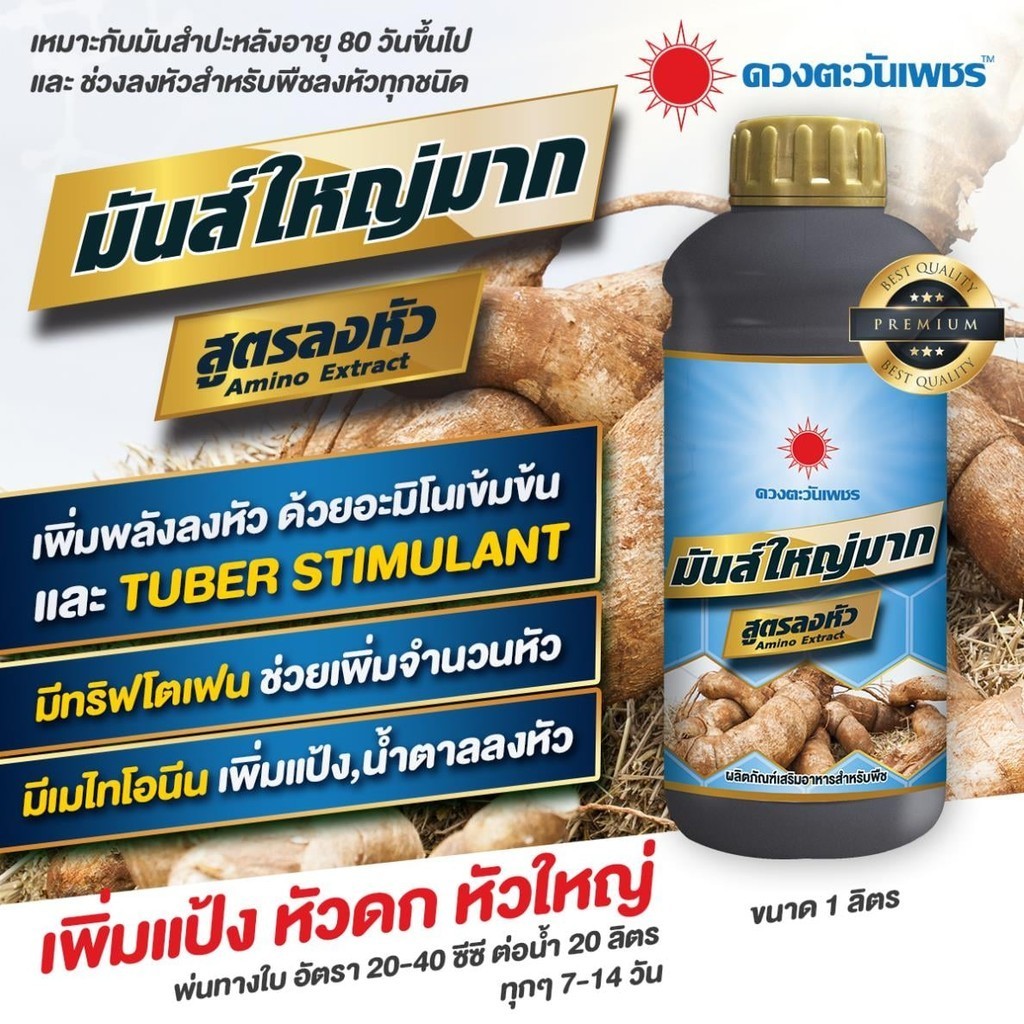 ปุ๋ยน้ำ พลังมันส์ อะมิโนเร่งลงหัวมัน ช่วยกดใบลงหัว เร่งหัวใหญ่ สำหรับมันและพืชช่วงลงหัว ขนาด 1 ลิตร
