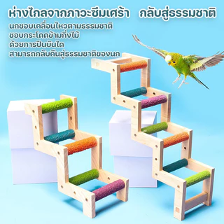 ของเล่นนก บันไดนก นกแก้ว ของตกแต่งกรง ติดตั้งในกรง