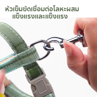สายจูงสัตว์เลี้ยง เชือกจูงแมว สามารถปรับได้ ป้องกันการคลายตัว สายจูงแมวน่ารัก