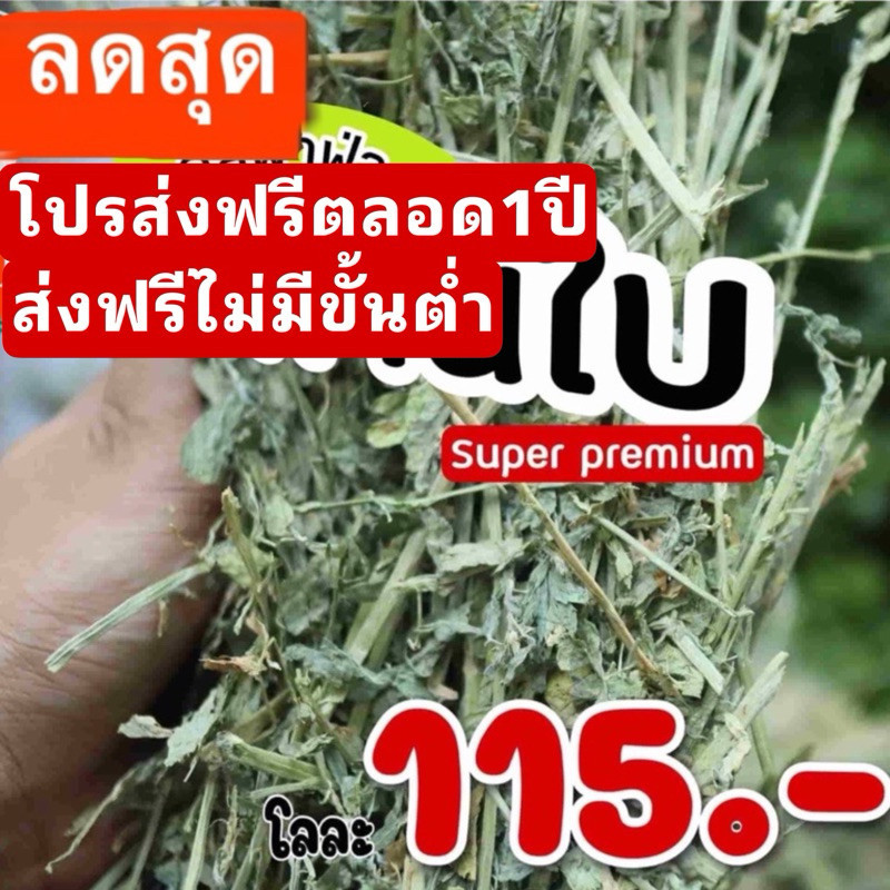 ส่งฟรี📌อัลฟาฟ่าก้านใบอัลเส้นอัลฟาฟ่า4กกใส่ziplock4ถุง