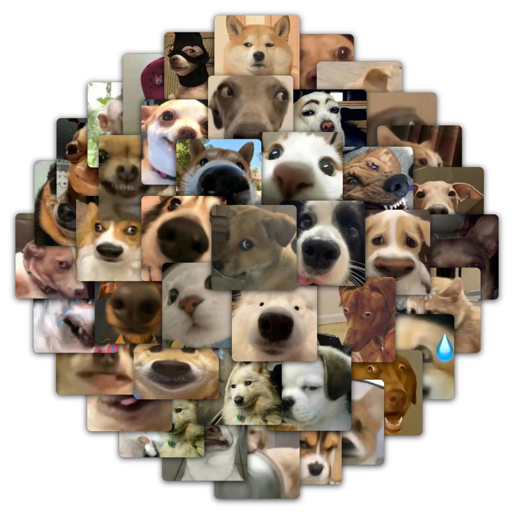 สติ๊กเกอร์ Oddball Expression 59 ชิ้น - Quirky Emoji - เหมือนสติ๊กเกอร์สําหรับใช้สร้างสรรค์