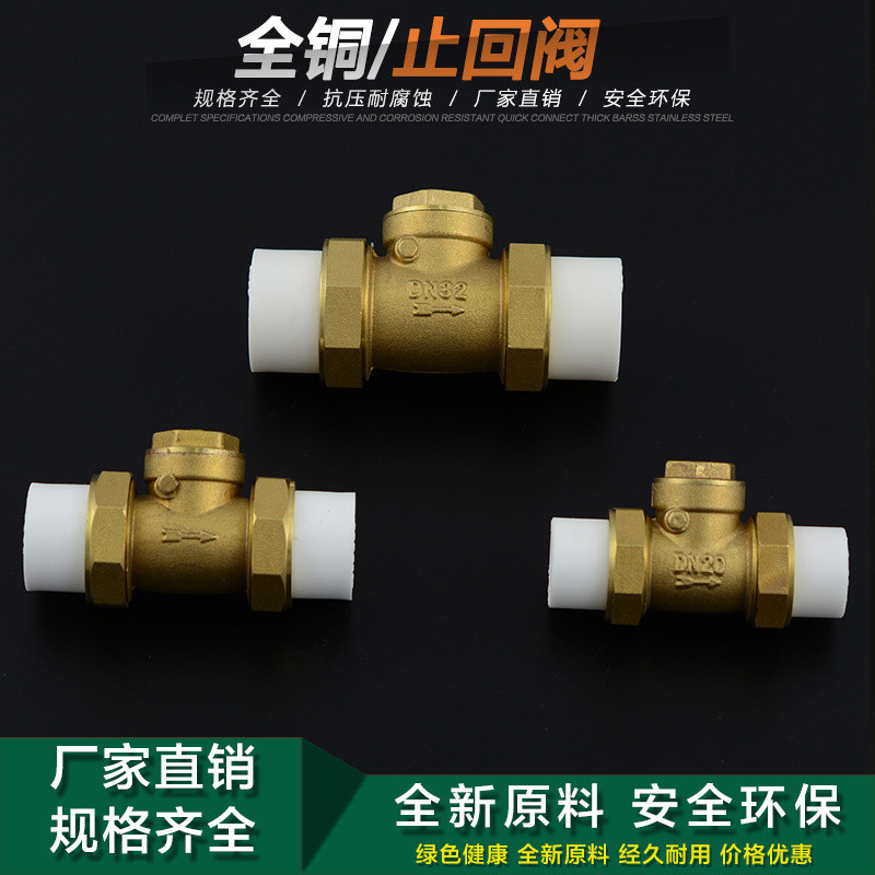 ทองแดงบริสุทธิ์ หน้า เครื่องทําน้ําอุ่นทองเหลืองแนวนอนตรวจสอบวาล์วตรวจสอบวาล์วคู่ร้อนละลายตรวจสอบวาล