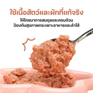 【PET RECORD】🔥อาหารเปียกสุนัข 430g เนื้อสัตว์แท้ ธรรมชาติ โภชนาการครบ สำหรับลูกสุนัข อร่อย ย่อยง่าย