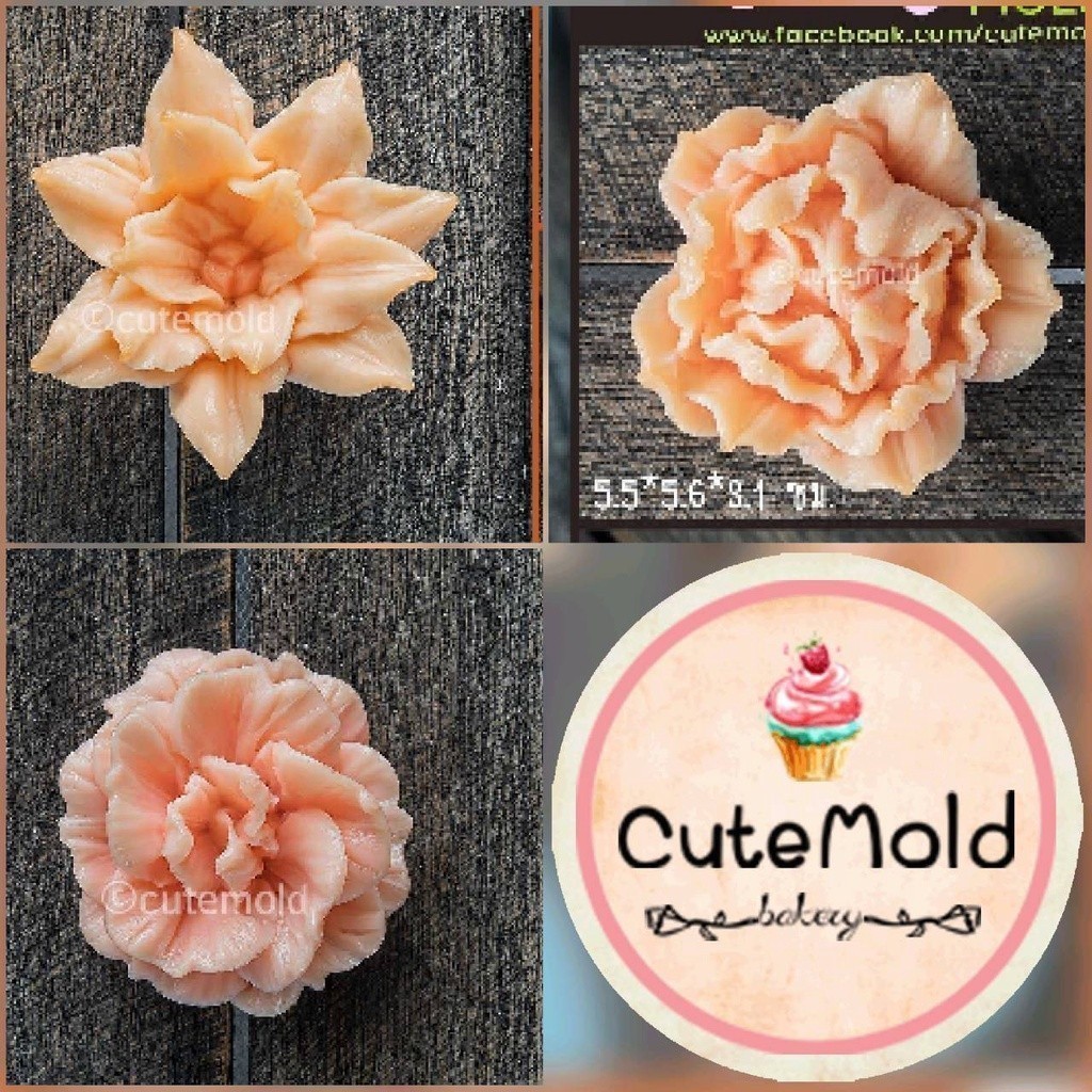 มีสินค้า//คมชัด//ลิขสิทธิ์ของ cutmold ทำวุ้น พิมพ์ฟองดอง V73