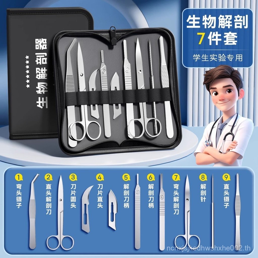 Biological Anatomy อุปกรณ์ 7 ชิ้นเจ็ดชิ้นชุดสแตนเลสแมลงตัวอย่างทําเครื่องมือ Anatomy เข็ม Probe กรรไ