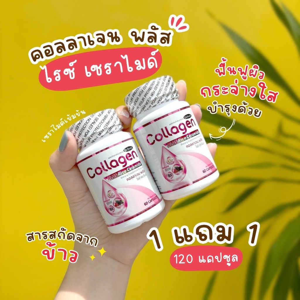 🔥ส่งฟรี ส่งไว🔥(1แถม1)CN Collagen Plus คอลลาเจนจากเซราไมด์ที่ได้จากข้าว บำรุงผิวใส | 2 กระปุก 120 แคป