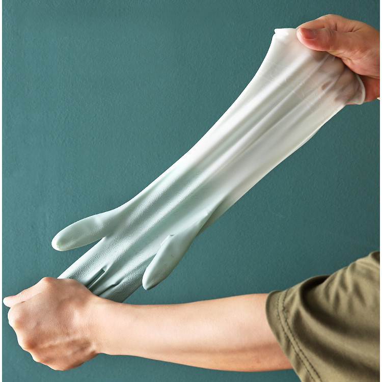 รูปภาพ 8