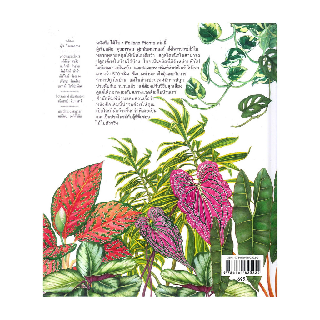 รูปภาพ 2