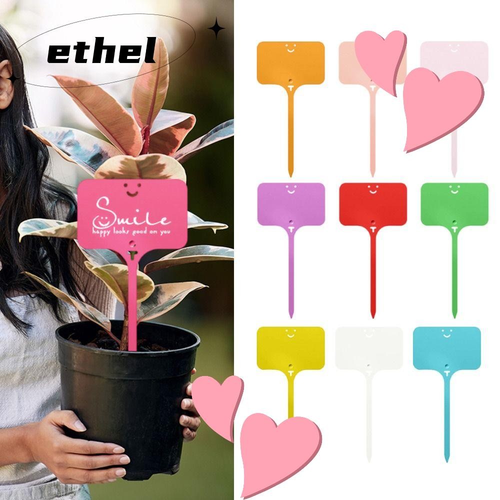 Ethel1 100 ชิ้นป้ายพืชสวน,เครื่องหมายพืชพลาสติกที่มีสีสัน,สีทึบตกแต่งสวนกันน้ํา T-type ป้ายแท็กชื่อแท็ก
