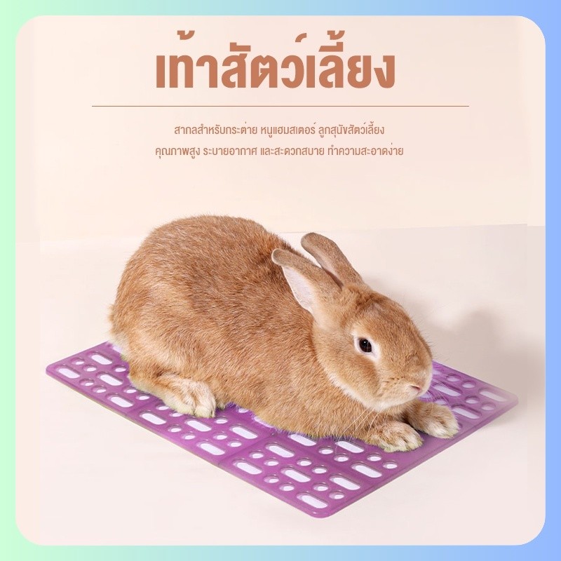 ✈️สินค้าอยู่ในไทย พร้อมส่ง✈️แผ่นปูกรง แผ่นรองกรง แบบใส ปูพื้นกรง พื้นห้อง กันลื่น รองพื้นกรง แผ่นสแลค