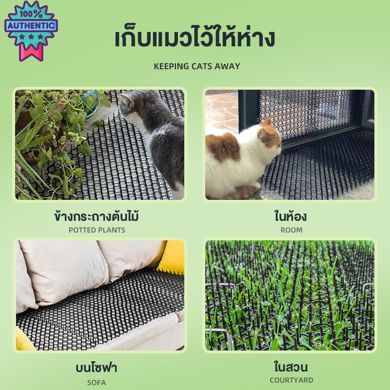หนามไล่แมว ไล่แมวมาขี้ ไล่แมวในสวน ไล่แมว เครื่อง พื้นหนามไล่แมว หนามกันแมวเดิน ไล่แมวขี้ ที่ไล่แมว ไล่แมวนหลังคา ไล่แมว